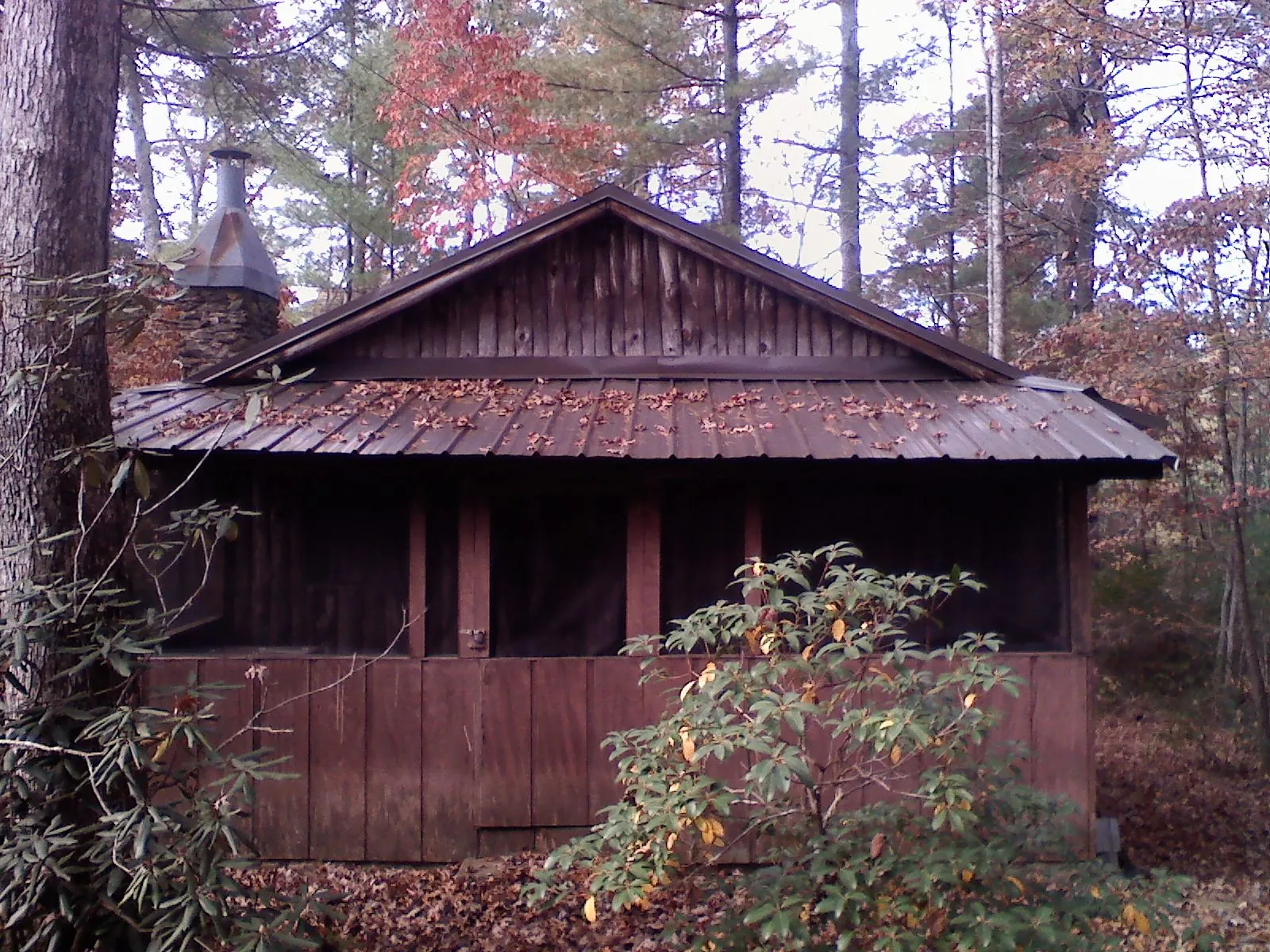 Metal roof over the screened porch of a rustic cabin in Ambler